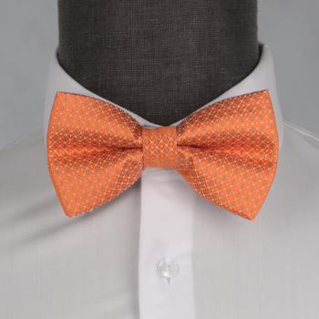 Бабочка мужская 0199