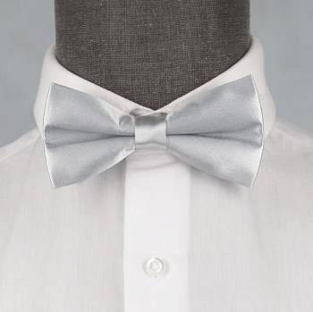 Бабочка мужская 0085