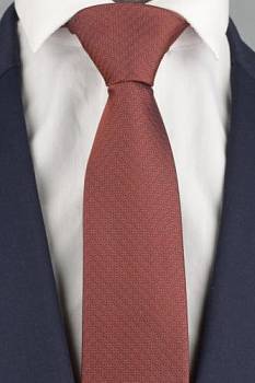 Галстук 0653