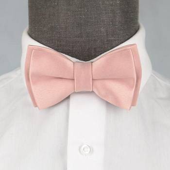 Бабочка мужская 0242-1