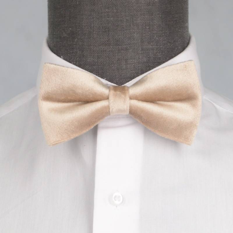 Бабочка мужская с платком 0132